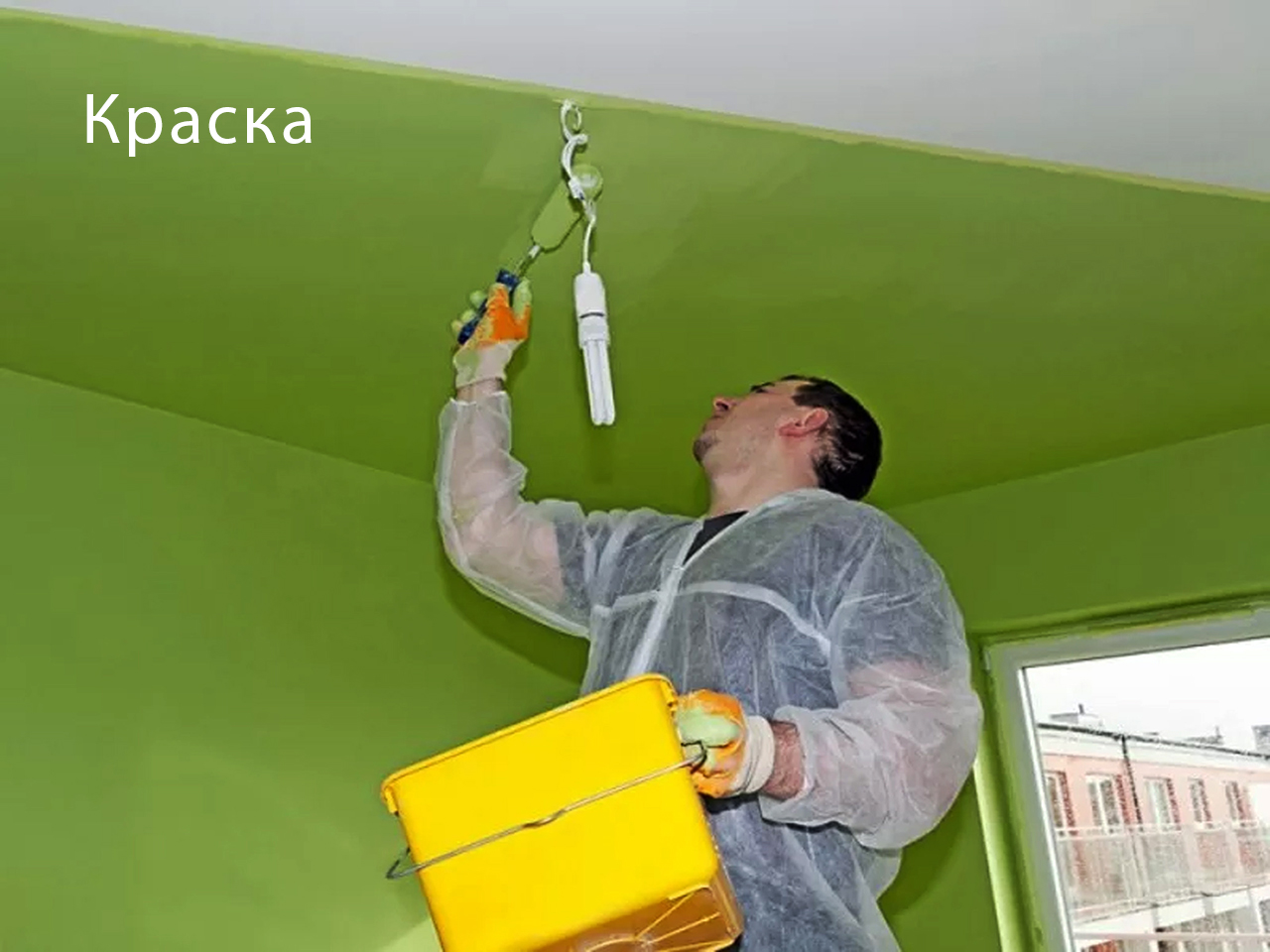Улучшенная масляная окраска. Покраска стен и потолков. Крашеный потолок. Водоэмульсионная краска для стен. Водоэмульсионная краска для потолка.